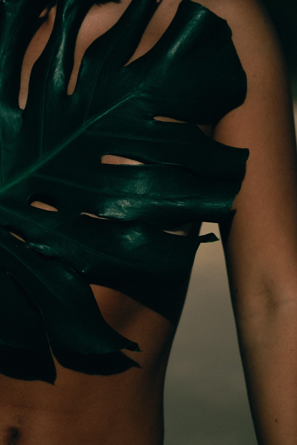 Dark tropical leaves against warm skin tones — Skin! Medical Aesthetics, Denver